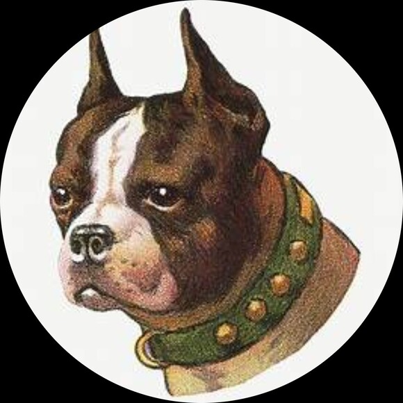 thriftxxhound